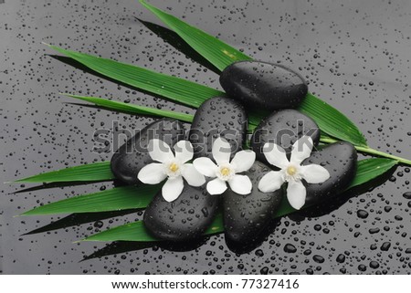 spa stones with water drops and flower  on black