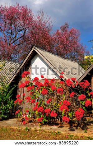 spring magic garden with flowers and house