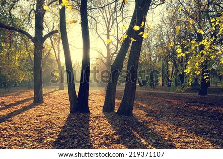 Autumn park in retro style