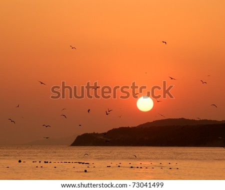 Orange sunset on sea with silhouettes of flying birds