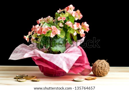 Colorful bouquet of various flowers - still life