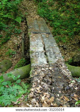 The old wooden bridge in forest