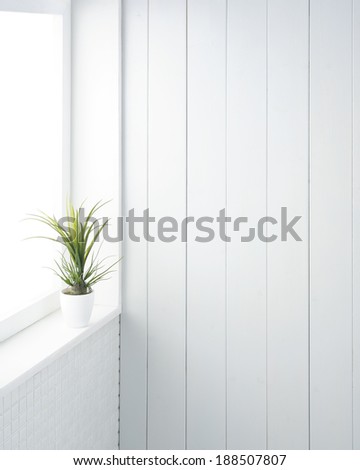 white room with houseplant