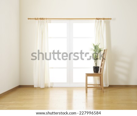 houseplant on wooden chair in white room