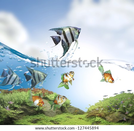 Fish jumping good concept for Recklessness and challenge concept