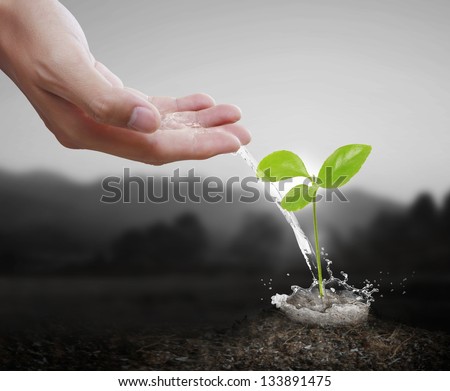 watering can pouring water green plant