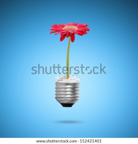 beautiful flower in light bulb