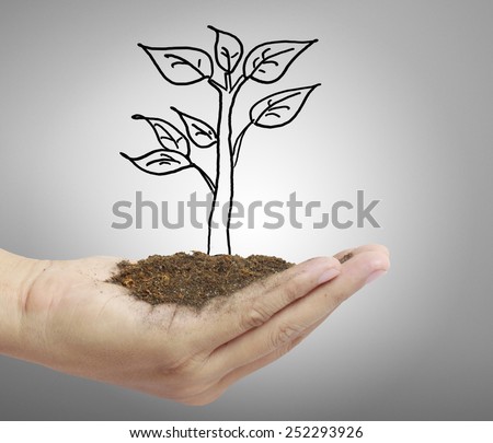 Man holding plant in hand