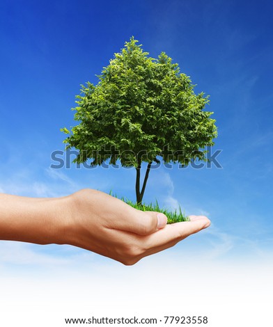 hand and tree