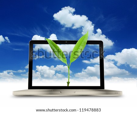 Laptop and green plant on blue sky background.