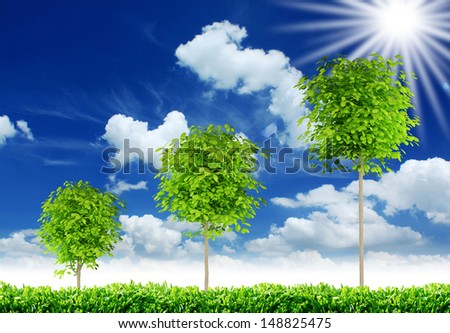 three trees, three rounded trees with blue sky