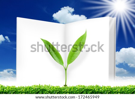 Green leafs and Blank open book