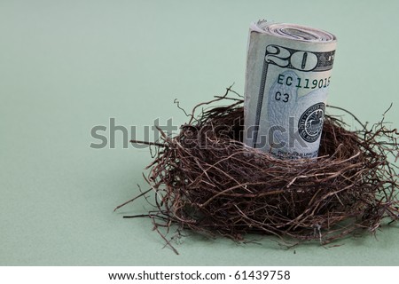 A close up of a roll of dollar bills in a birds nest on a green background with copy space