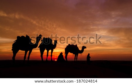desert during sun set