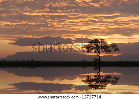 Africa safari sunset and reflection