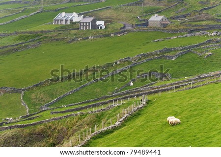 Rural scene at western Ireland