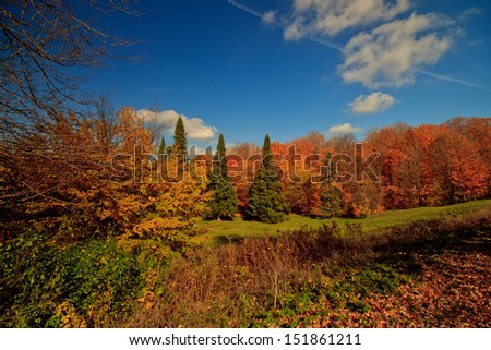 Autumn forest landscape of brilliant red, yellow leaves and blue sky, Canada