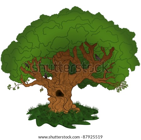 Vector Cartoon Tree - 87925519 : Shutterstock