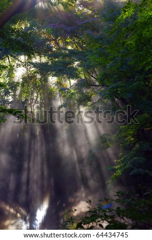 Chicken foot and shaft beam of light