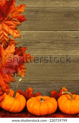 Vertical autumn leaves and pumpkin border against aged wood