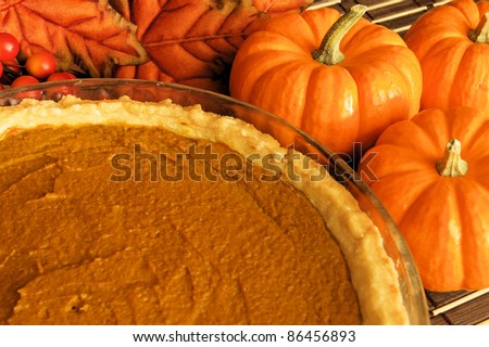 Thanksgiving pumpkin pie in a pie plate with autumn leaves and pumpkins behind