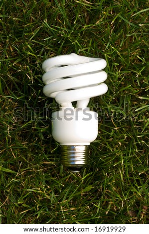a compact fluorescent light bulb lying on grass