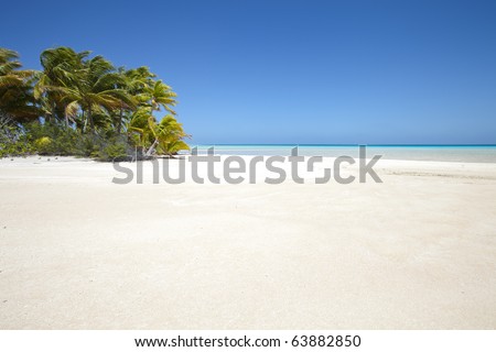 White sand beach front of palm tree and blue lagoon of a paradise island