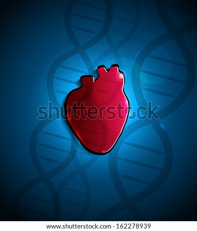 Human heart anatomy and DNA spiral at the background.