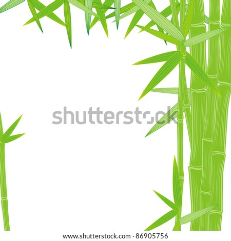 summer bamboo frame on white background