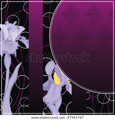 spring flowering iris frame on strip background