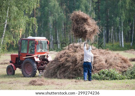 Men haymaking