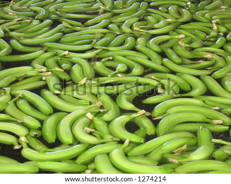 Banana Factory