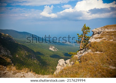 Summer Crimean landscape. Lonely southern spruce, mountain landscape, blue sky with clouds.