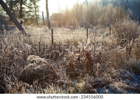 Rustic autumn landscape. Old fence. Dry grass in the frost in the foreground