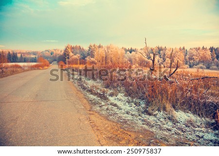 Country landscape - field, forest, roads