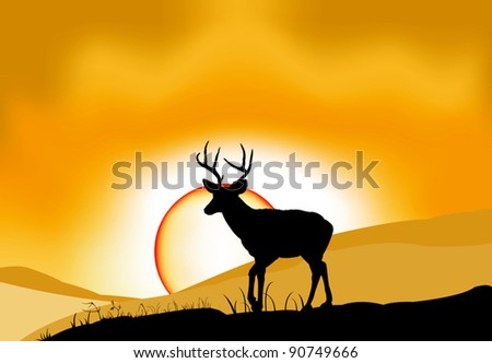 Deer landscape sunset