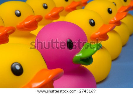 Purple rubber duck surrounded by yellow rubber ducks to emphasize individuality- on black background