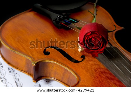 A violin or fiddle,  red rose and sheet music