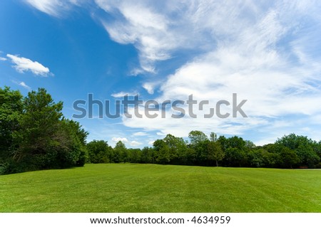 Beautiful park scene with trees, grass and a party cloudy blue sky