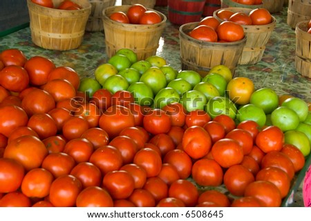 Farmer\'s market tomato stand with red and green tomatoes and bushel baskets full of tomatoes, fresh produce