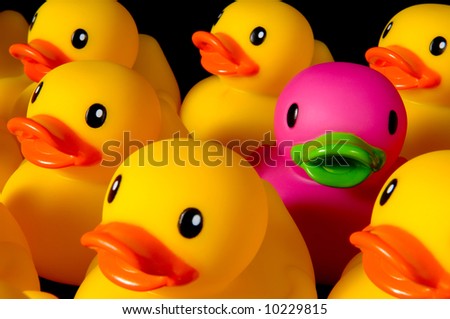 Purple rubber duck surrrounded by yellow rubber ducks to emphasize individuality- on black background