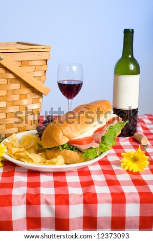 A picnic lunch on a red and white gingham tablecloth including a sandwich, chip, grapes wine and a picnic basket in front of a blue sky background