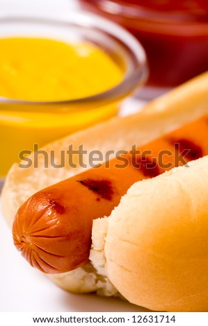 Fresh grilled hot dog with mustard and ketchup in the background, cook out or bar-b-q summertime.