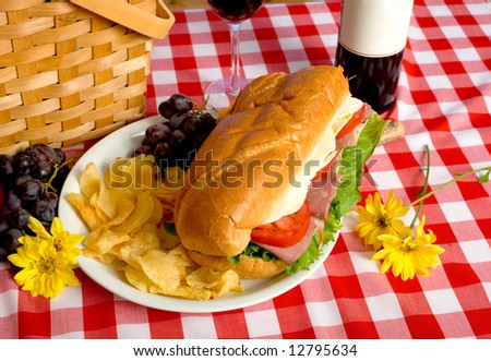 A picnic lunch on a red and white gingham tablecloth including a sandwich, chip, grapes wine and a picnic basket in front of a blue sky background
