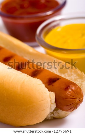 Freshed grilled hot dog with mustard and ketchup in the background, cook out or bar-b-q summertime.