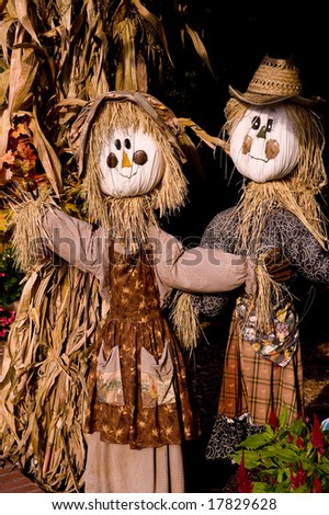 Fall or autumn decoration including two happy scarecrows and dried corn stalks