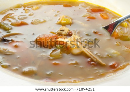 A spoonful of warm fresh homemade vegetable chicken soup.