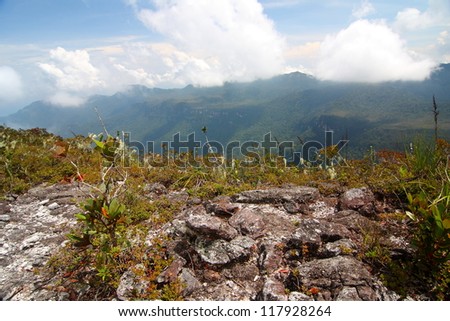 The views from Mount Tahan in Taman Negara (National Park), Malaysia. Mount Tahan is the highest peak in Peninsula Malaysia and some of the world\'s oldest rain forest can be found there.