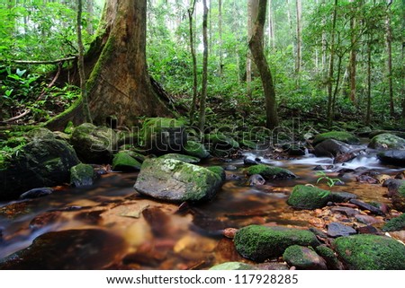 Tahan river in Taman Negara (National Park), Malaysia. Some of the oldest rain forest in the world can be found in the national park.