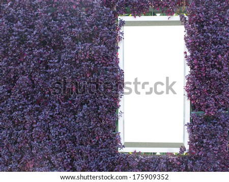 purple leaf background with white frame